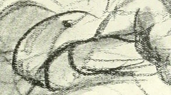 An illustration from The Slade; a collection of drawings and some pictures done by past and present students of the London Slade School of Art, MDCCCXCIII-MDCCCVII, 1907, leaf 76