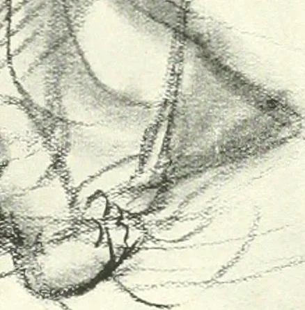 An illustration from The Slade; a collection of drawings and some pictures done by past and present students of the London Slade School of Art, MDCCCXCIII-MDCCCVII, 1907, leaf 76