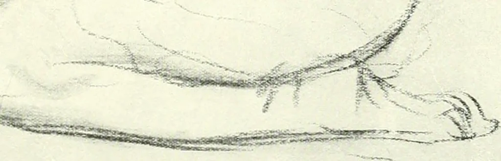 An illustration from The Slade; a collection of drawings and some pictures done by past and present students of the London Slade School of Art, MDCCCXCIII-MDCCCVII, 1907, leaf 76
