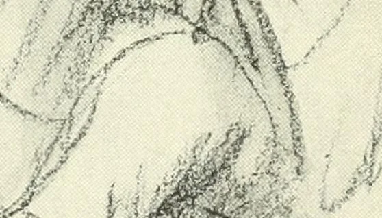 An illustration from The Slade; a collection of drawings and some pictures done by past and present students of the London Slade School of Art, MDCCCXCIII-MDCCCVII, 1907, leaf 8