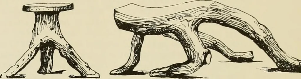An illustration from A Sleepy Hollow Restorations portfolio :articles, 1900, leaf 18