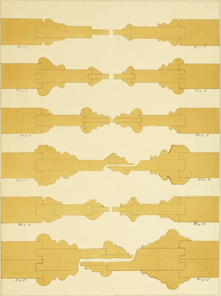 An illustration from Sloan's constructive architecture : a guide to the practical builder and mechanic. In which is contained a series of designs for domes, roofs and spires, with a number of plates showing the interior construction and finish of bays, window shutters, sliding doors, etc., designed expressly for the joiners use; choice examples of the five orders of architecture, selected fromthe most celebrated specimens of antiquity, with the figured dimensions of their height, projection and profile, and their division into parts,; to which is added a number of useful geometrical problems, examples of groins, centering for arches, diagrams of stair lines, with architraves, door mouldings, etc., the whole being accompanied by explanatory text and general essays, to which is appended a copious glossay, 1859, leaf 272