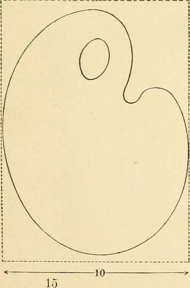 An illustration from The sloyd system of wood working, with a brief description of the Eva Rodhe model series and an historical sketch of the growth of the manual training idea;, 1892, leaf 230
