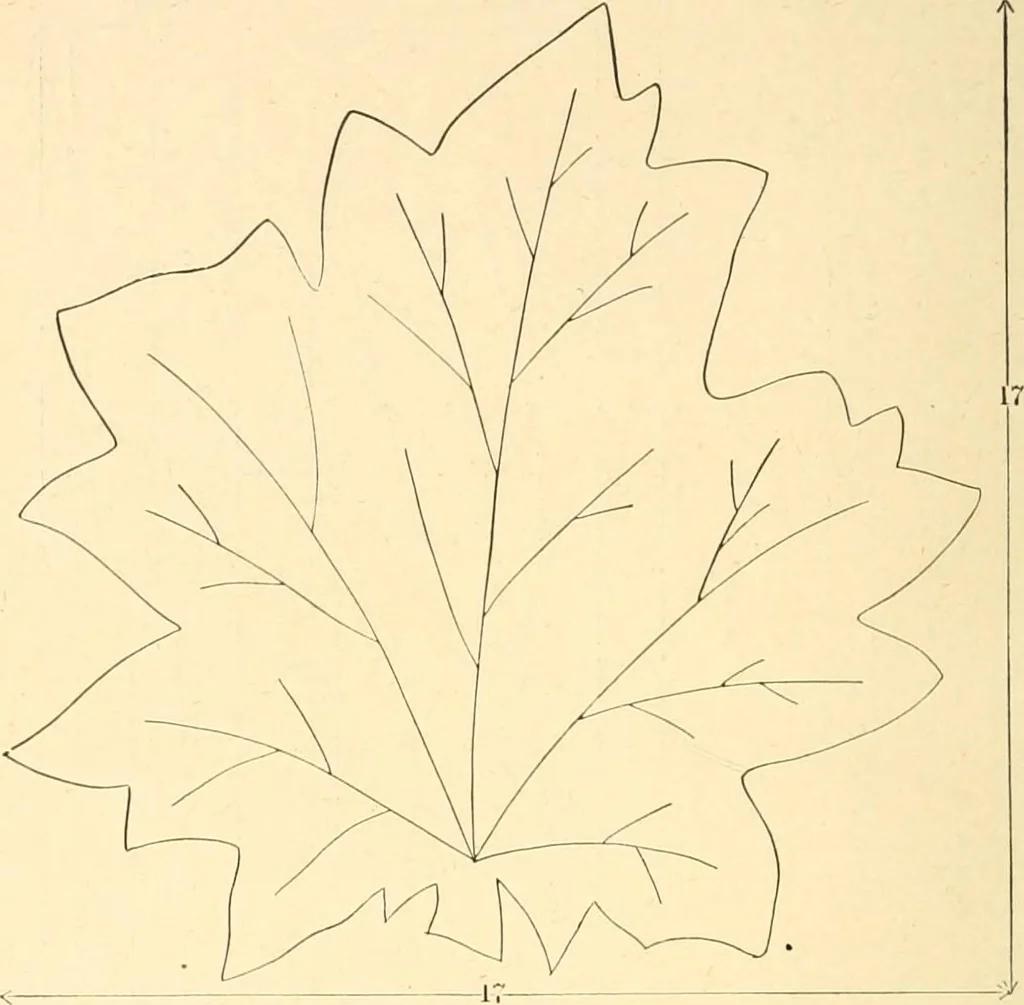 An illustration from The sloyd system of wood working, with a brief description of the Eva Rodhe model series and an historical sketch of the growth of the manual training idea;, 1892, leaf 235