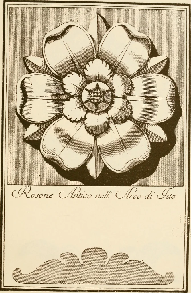An illustration from A small collection of ancient rosettes as found on Roman monuments, 1913, leaf 20