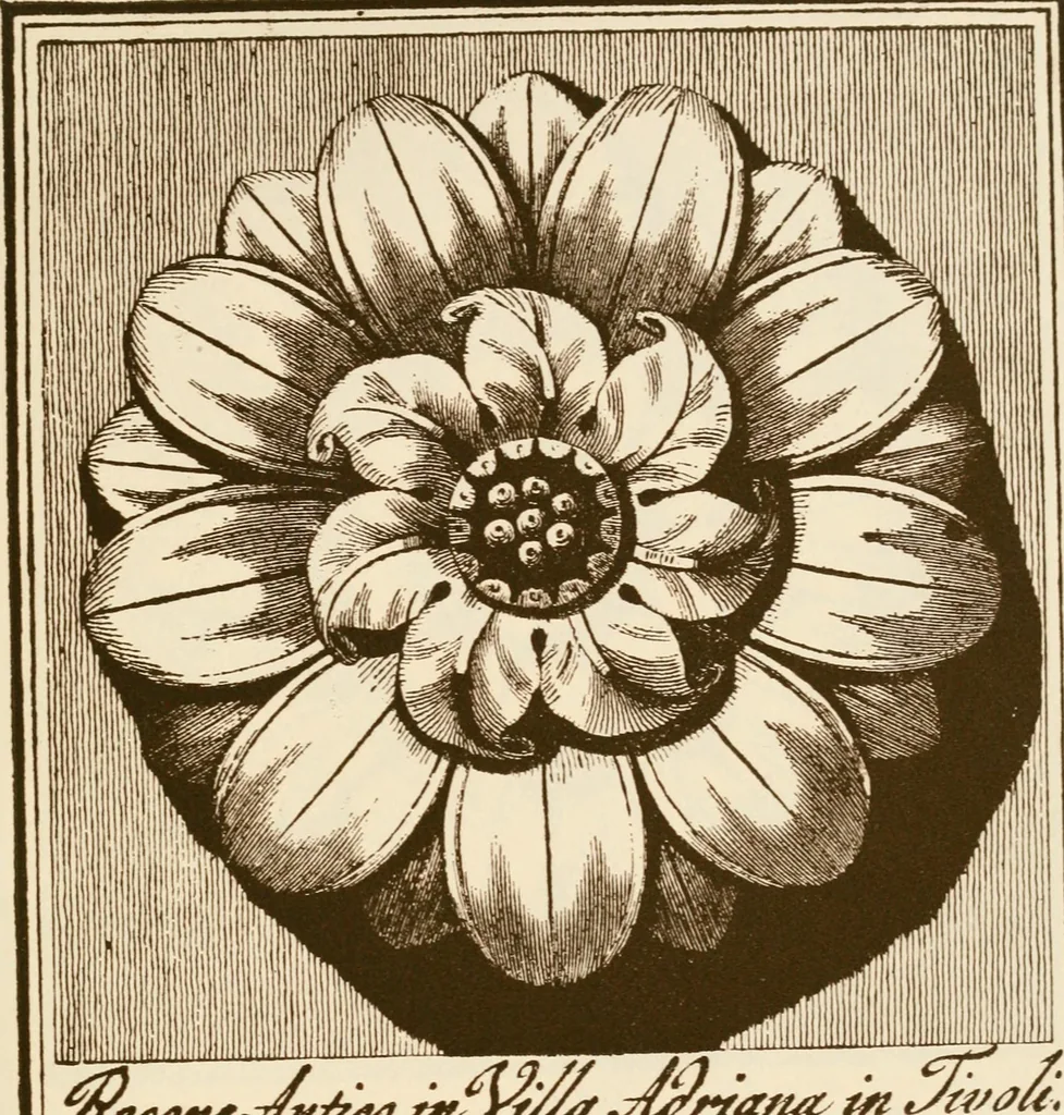 An illustration from A small collection of ancient rosettes as found on Roman monuments, 1913, leaf 26