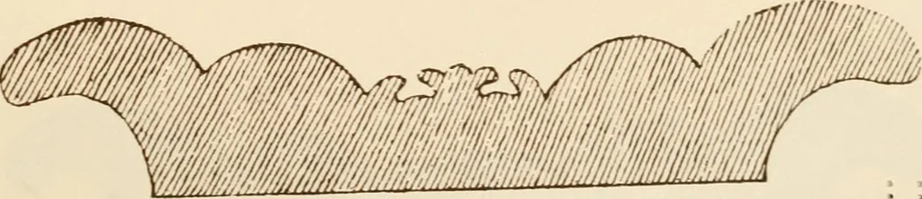 An illustration from A small collection of ancient rosettes as found on Roman monuments, 1913, leaf 26