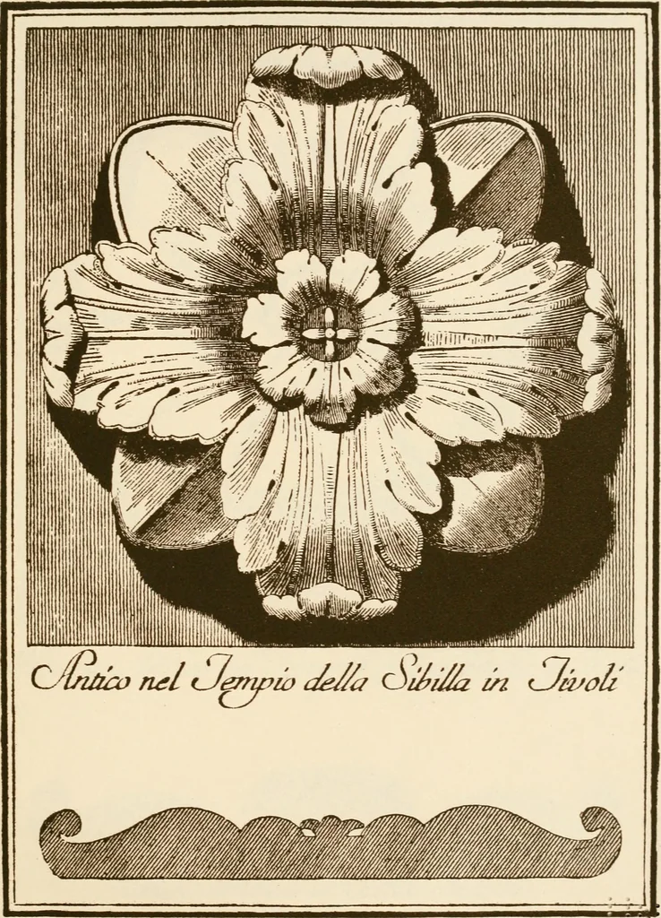 An illustration from A small collection of ancient rosettes as found on Roman monuments, 1913, leaf 30