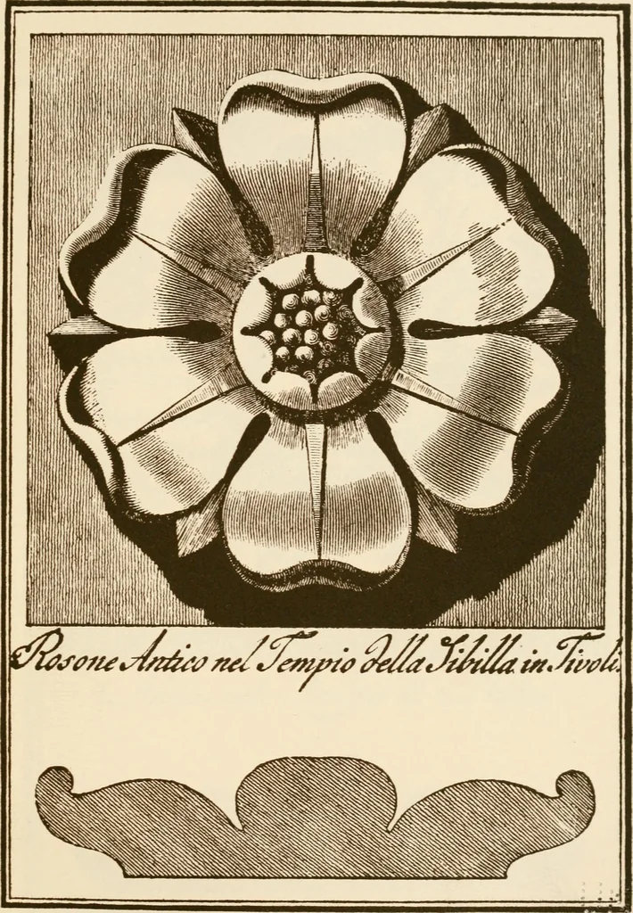 An illustration from A small collection of ancient rosettes as found on Roman monuments, 1913, leaf 32