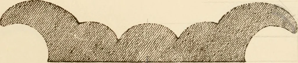 An illustration from A small collection of ancient rosettes as found on Roman monuments, 1913, leaf 40
