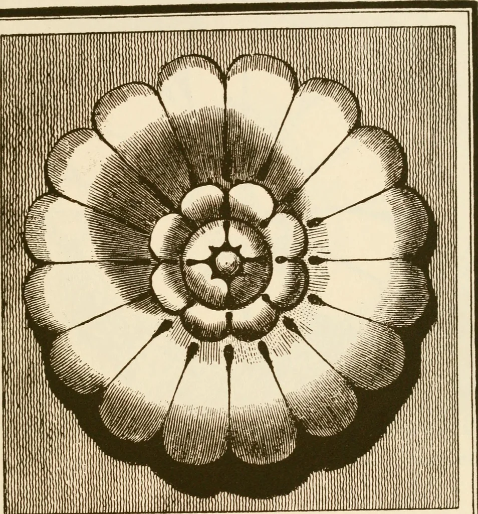 An illustration from A small collection of ancient rosettes as found on Roman monuments, 1913, leaf 42