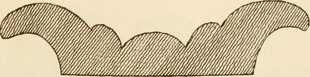 An illustration from A small collection of ancient rosettes as found on Roman monuments, 1913, leaf 42