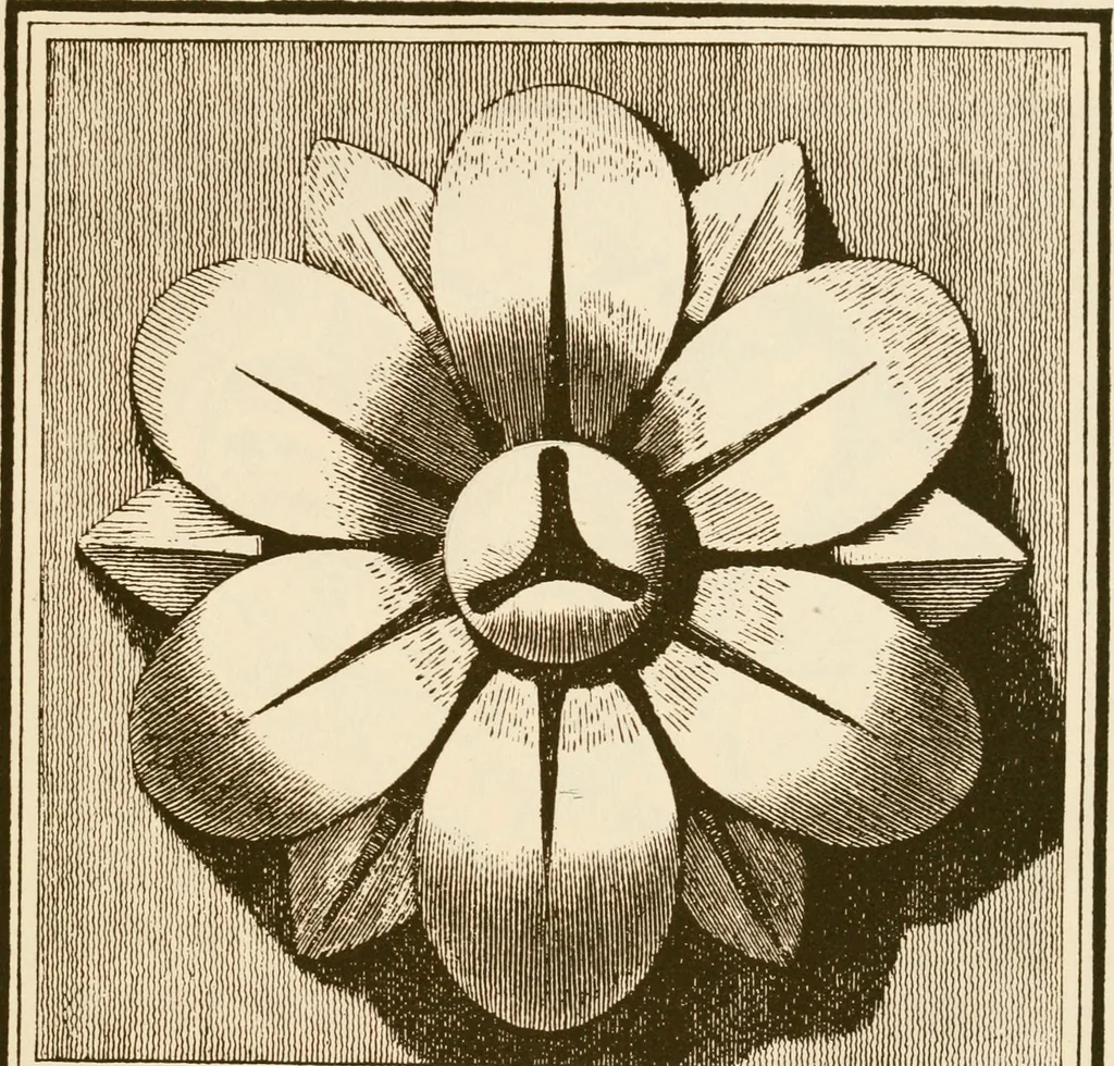 An illustration from A small collection of ancient rosettes as found on Roman monuments, 1913, leaf 44