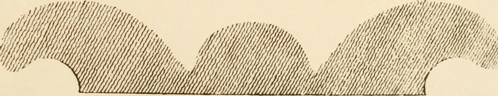 An illustration from A small collection of ancient rosettes as found on Roman monuments, 1913, leaf 44