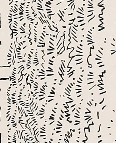 An illustration from Small French buildings; the architecture of town and country, comprising cottages, farmhouses, minor chateaux or manors with their farm groups, small town dwellings, and a few churches, 1921, leaf 200