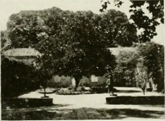 An illustration from Small French buildings; the architecture of town and country, comprising cottages, farmhouses, minor chateaux or manors with their farm groups, small town dwellings, and a few churches, 1921, leaf 244