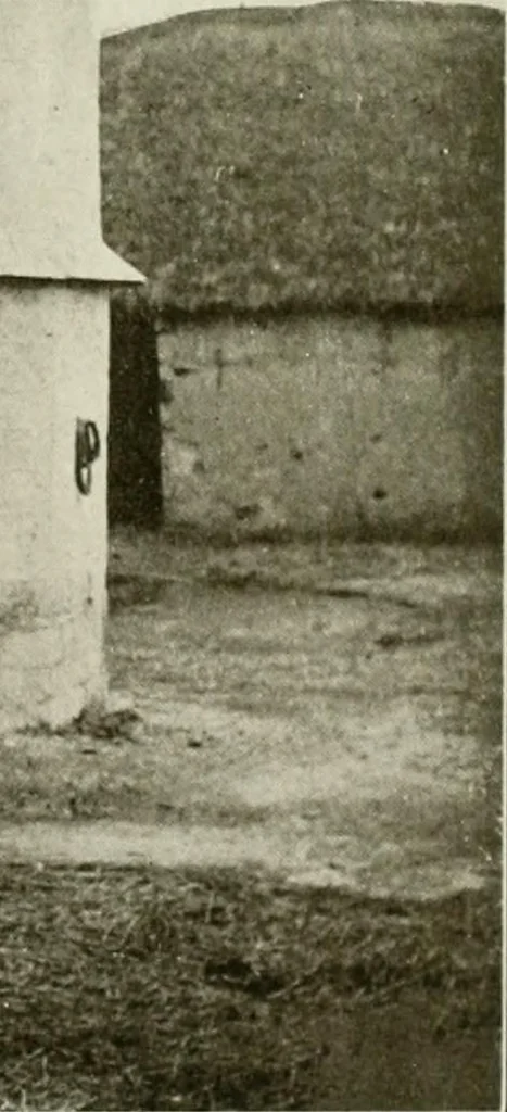 An illustration from Small French buildings; the architecture of town and country, comprising cottages, farmhouses, minor chateaux or manors with their farm groups, small town dwellings, and a few churches, 1921, leaf 264