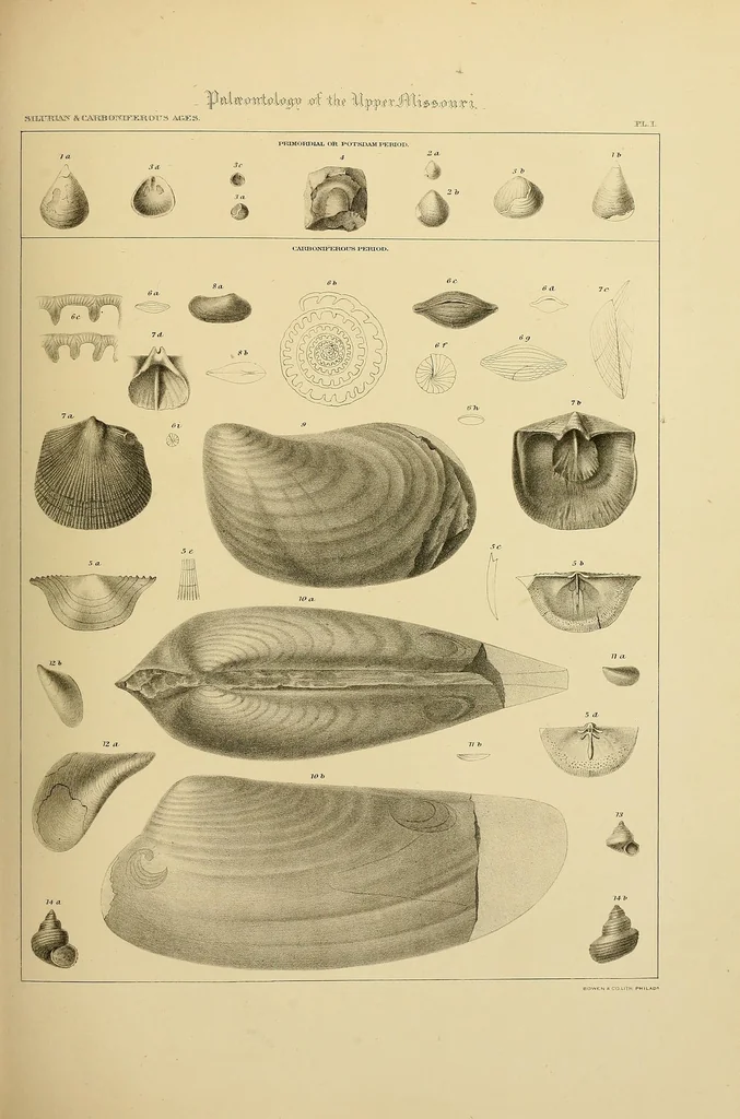 An illustration from Smithsonian contributions to knowledge, 1848, leaf 347