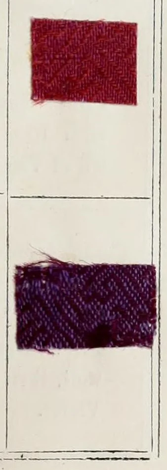 An illustration from Smith's Practical dyer's guide : containing five hundred dyed patterns, to each of which a genuine receipt is given : the work comprises practical instructions in the dyeing of silk, cotton, and wool, in a raw and manufactured state, also instructions for dyeing plain and mixed fabrics ... also receipts for making all the dye spirits with which to dye every colour in the work, 1880, leaf 103
