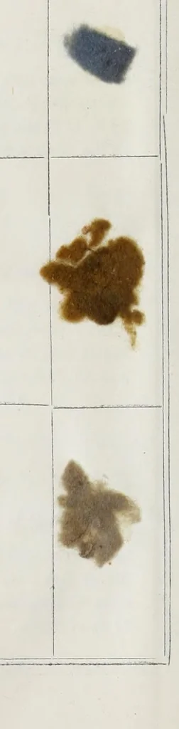 An illustration from Smith's Practical dyer's guide : containing five hundred dyed patterns, to each of which a genuine receipt is given : the work comprises practical instructions in the dyeing of silk, cotton, and wool, in a raw and manufactured state, also instructions for dyeing plain and mixed fabrics ... also receipts for making all the dye spirits with which to dye every colour in the work, 1880, leaf 30