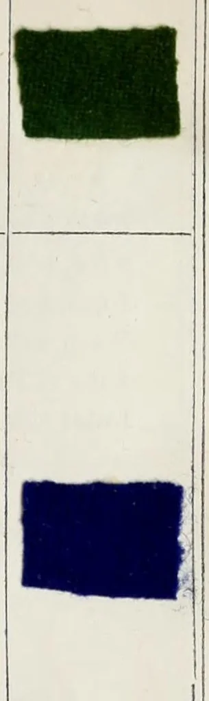 An illustration from Smith's Practical dyer's guide : containing five hundred dyed patterns, to each of which a genuine receipt is given : the work comprises practical instructions in the dyeing of silk, cotton, and wool, in a raw and manufactured state, also instructions for dyeing plain and mixed fabrics ... also receipts for making all the dye spirits with which to dye every colour in the work, 1880, leaf 49