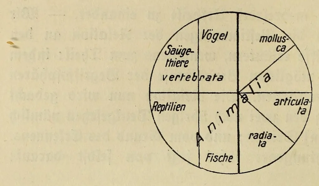 An illustration from Sämtliche Werke;, 1911, leaf 316