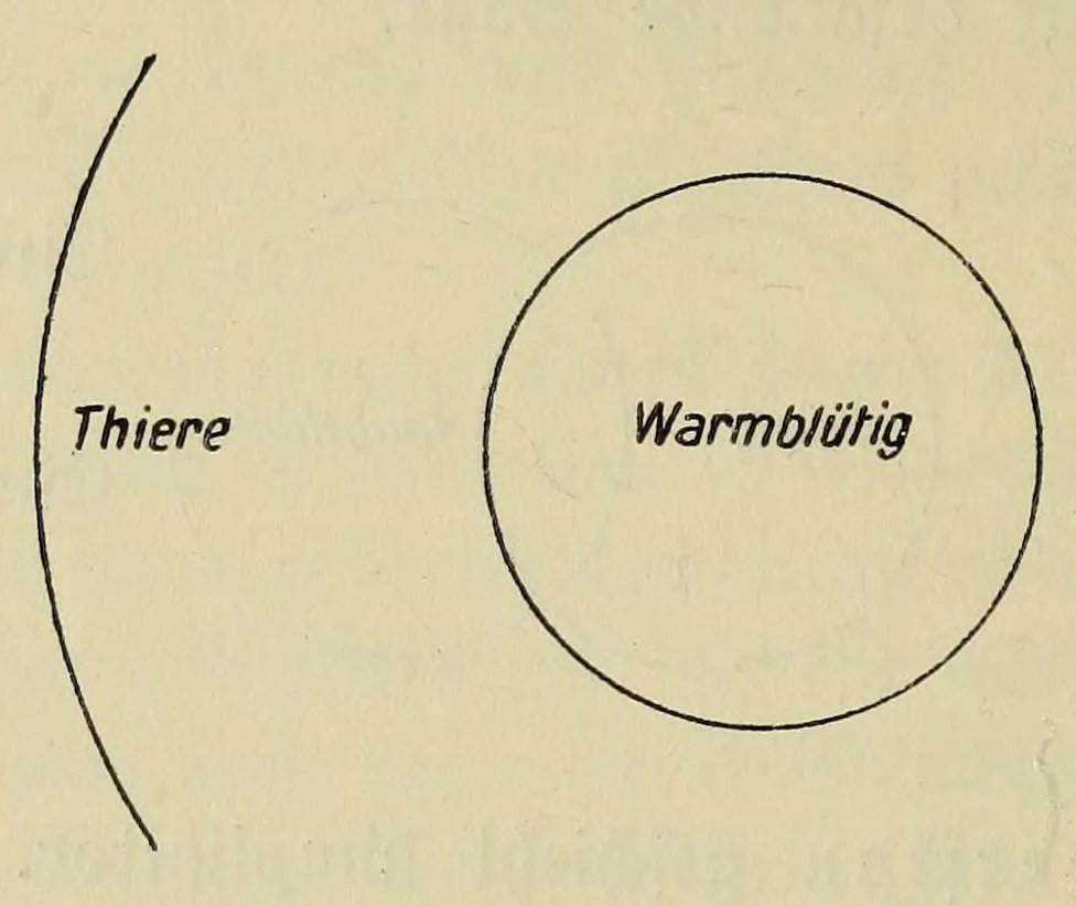 An illustration from Sämtliche Werke;, 1911, leaf 328