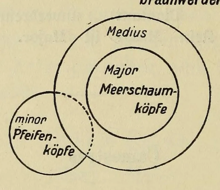 An illustration from Sämtliche Werke;, 1911, leaf 344