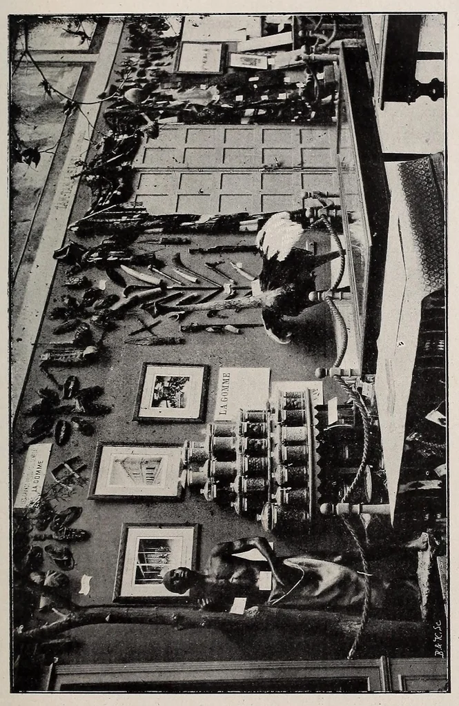 An illustration from Sénégal-Soudan : agriculture, industrie, commerce, 1900, leaf 29