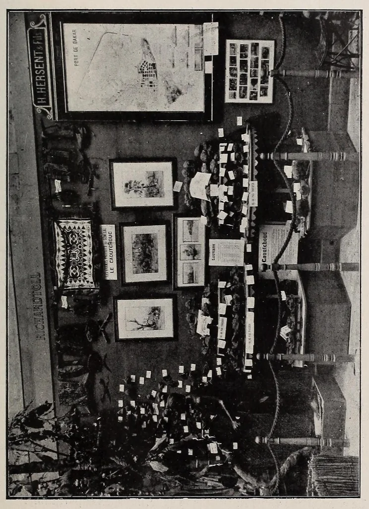 An illustration from Sénégal-Soudan : agriculture, industrie, commerce, 1900, leaf 49