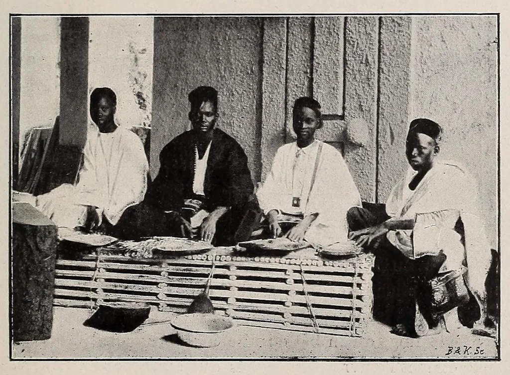 An illustration from Sénégal-Soudan : agriculture, industrie, commerce, 1900, leaf 75