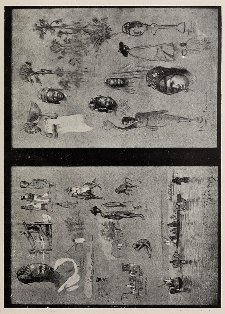 An illustration from Sénégal-Soudan : agriculture, industrie, commerce, 1900, leaf 81