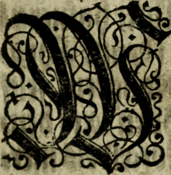 An illustration from Snorre Sturlessøns Norske kongers chronica, 1633, leaf 26