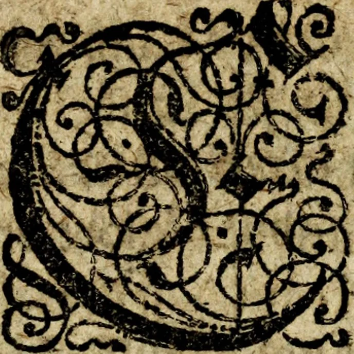 An illustration from Snorre Sturlessøns Norske kongers chronica, 1633, leaf 819