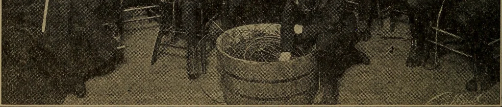 An illustration from Social activities for men and boys, 1910, leaf 243