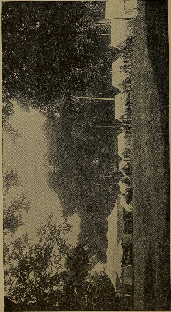 An illustration from Social activities for men and boys, 1910, leaf 247