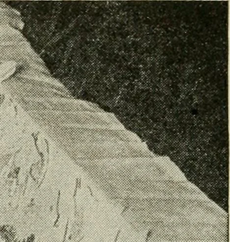 An illustration from Social activities for men and boys, 1913, leaf 153