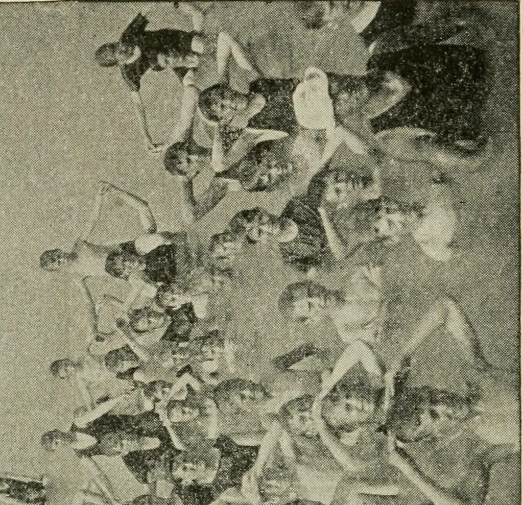 An illustration from Social activities for men and boys, 1913, leaf 273