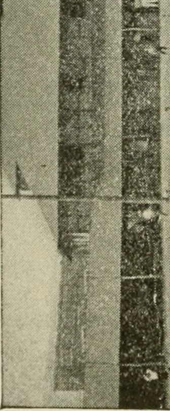 An illustration from Social activities for men and boys, 1913, leaf 273