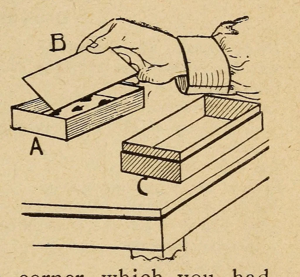 An illustration from Social card games, 1891, leaf 131