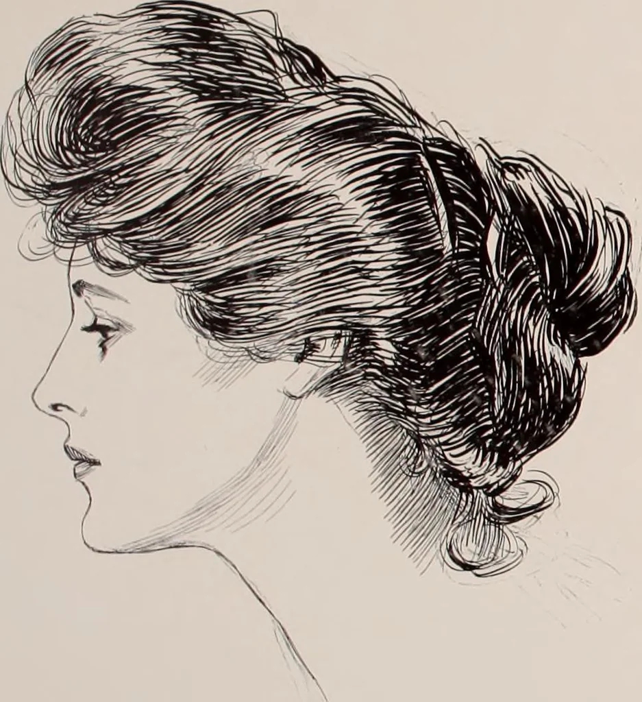 An illustration from Social ladder / drawings by Charles Dana Gibson., 1902, leaf 11