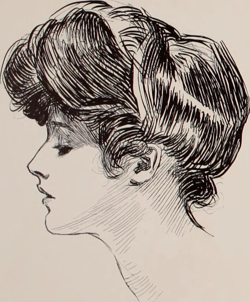 An illustration from Social ladder / drawings by Charles Dana Gibson., 1902, leaf 15