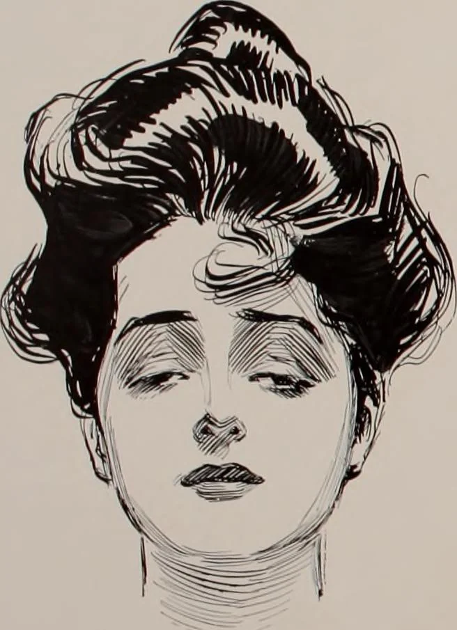 An illustration from Social ladder / drawings by Charles Dana Gibson., 1902, leaf 27