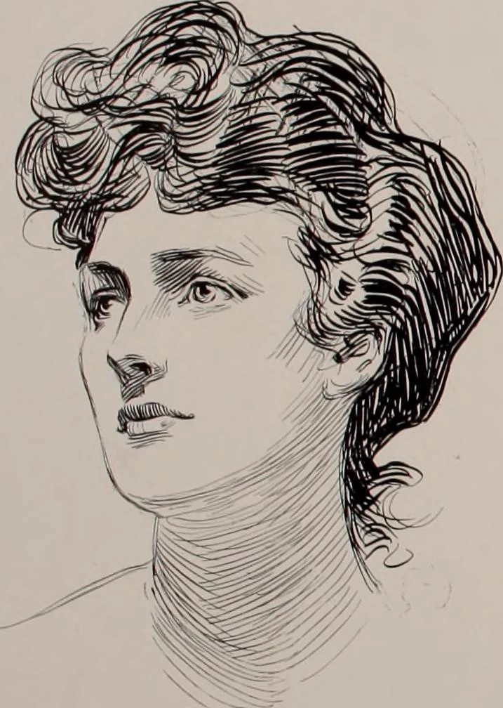 An illustration from Social ladder / drawings by Charles Dana Gibson., 1902, leaf 49