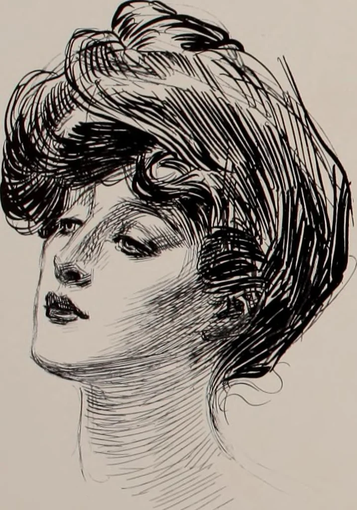 An illustration from Social ladder / drawings by Charles Dana Gibson., 1902, leaf 63