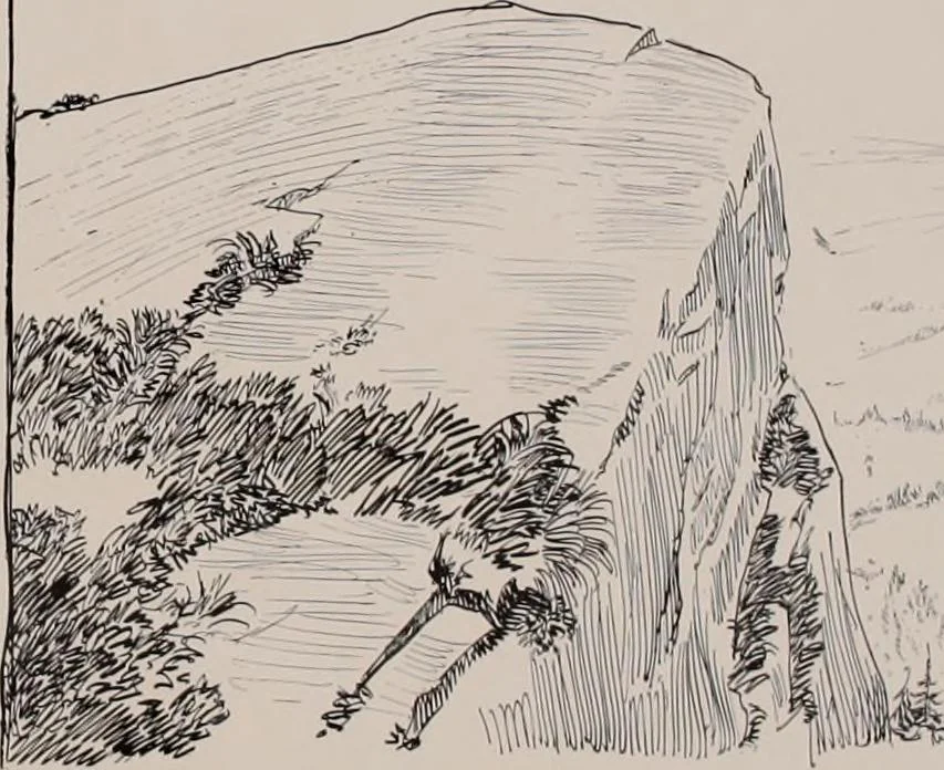 An illustration from Social ladder / drawings by Charles Dana Gibson., 1902, leaf 68