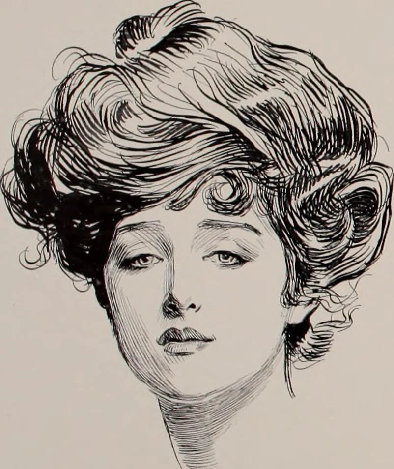 An illustration from Social ladder / drawings by Charles Dana Gibson., 1902, leaf 73