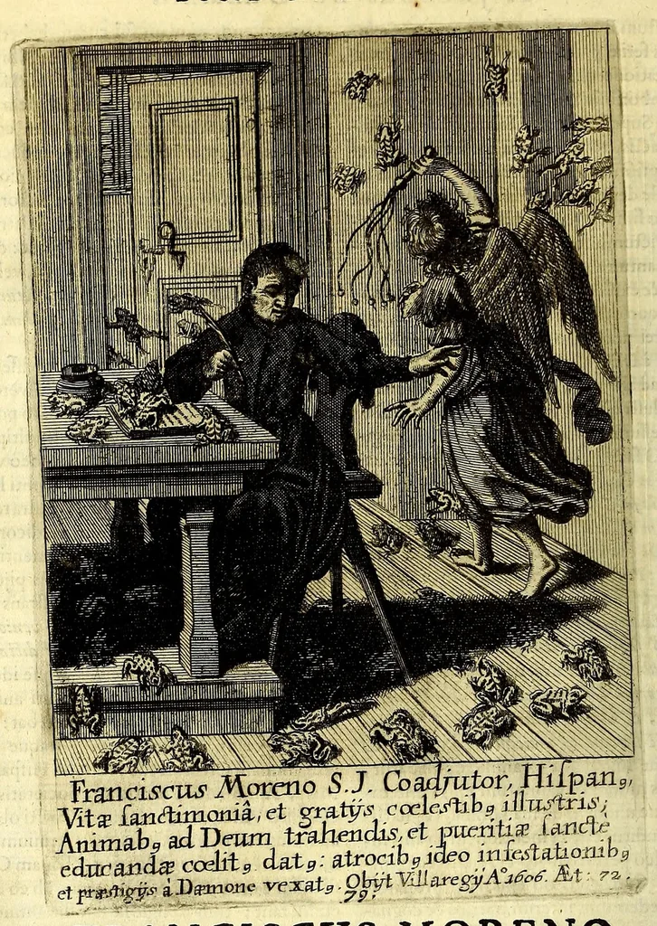 An illustration from Societas Jesu apostolorum imitatrix, sive Gesta praeclara et virtutes eorum, qui è Societate Jesu in procuranda salute animarum, per apostolicas missiones, conciones, sacramentorum ministeria, evangelij inter fideles & infideles propagationem, ceteráque munia apostolica, per totum orbem terrarum speciali zelo desudâ[ve]runt. Pars prima Societatis Jesu Europaeae., 1694, leaf 372