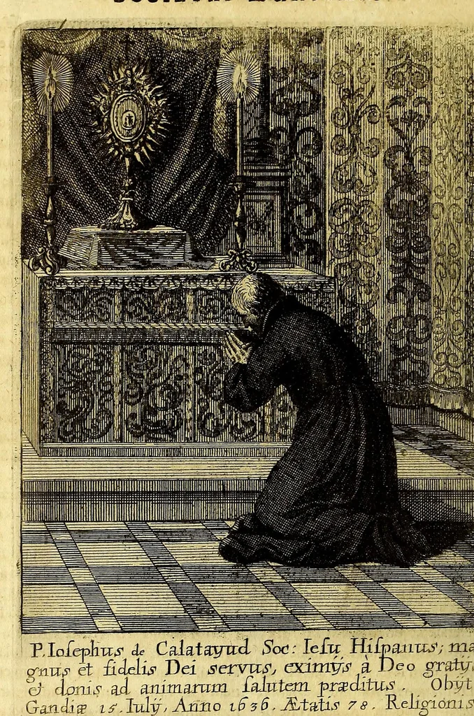An illustration from Societas Jesu apostolorum imitatrix, sive Gesta praeclara et virtutes eorum, qui è Societate Jesu in procuranda salute animarum, per apostolicas missiones, conciones, sacramentorum ministeria, evangelij inter fideles & infideles propagationem, ceteráque munia apostolica, per totum orbem terrarum speciali zelo desudâ[ve]runt. Pars prima Societatis Jesu Europaeae., 1694, leaf 664