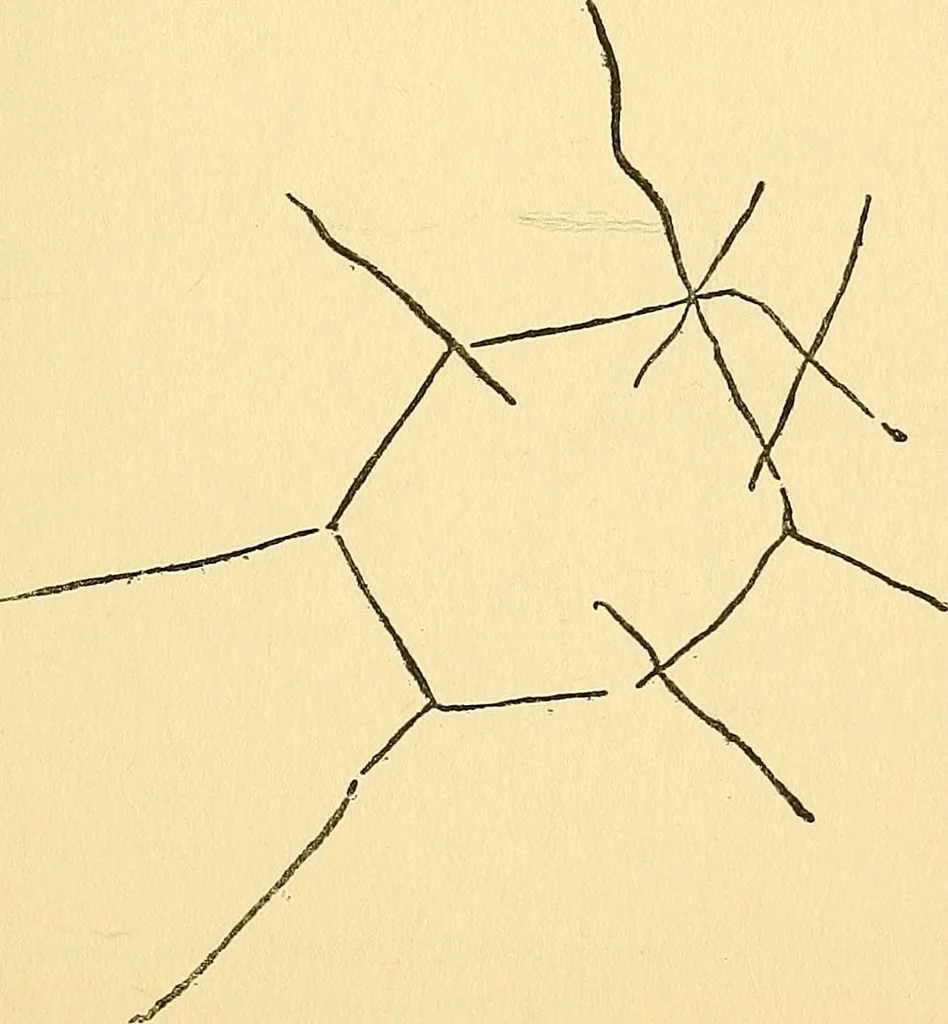 An illustration from The Society for Psychical Research : its rise & progress & a sketch of its work, 1903, leaf 26
